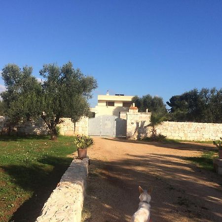 Casa Eva Daire San Vito dei Normanni Dış mekan fotoğraf